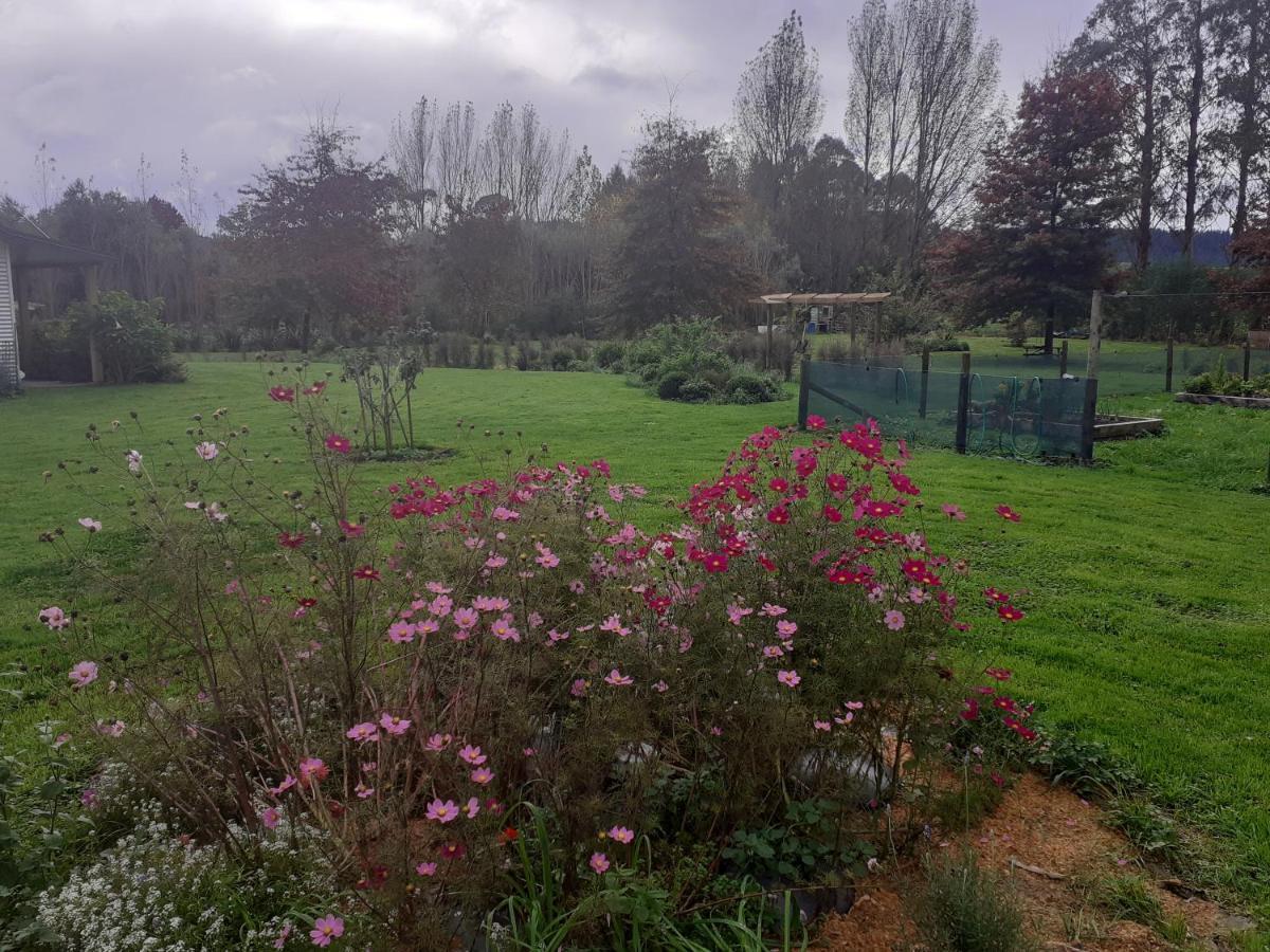 Hotel Pin Oaks Whanganui Esterno foto
